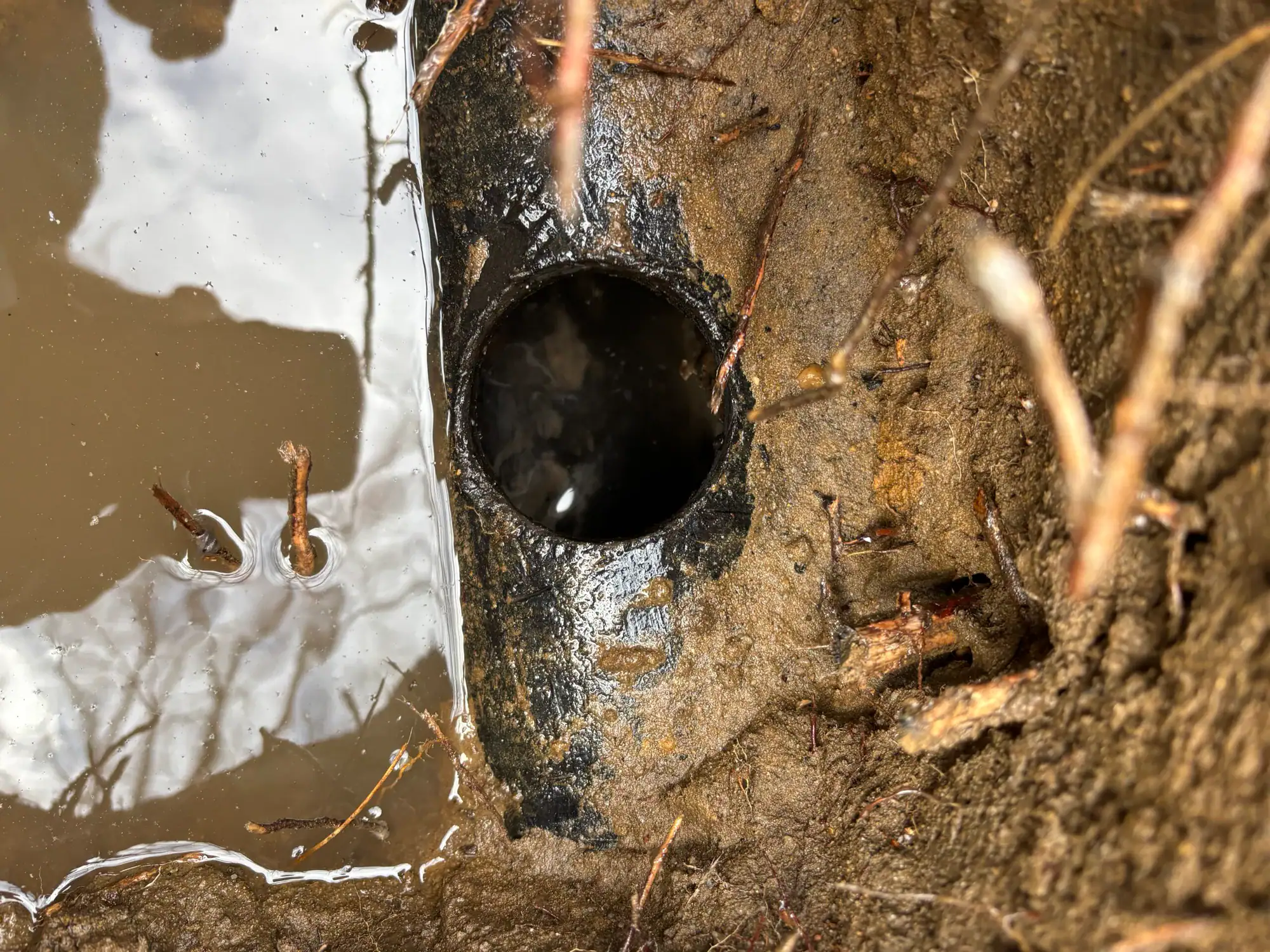 A close-up of a muddy hole with a round black pipe opening partially submerged in water, surrounded by wet soil and small twigs.